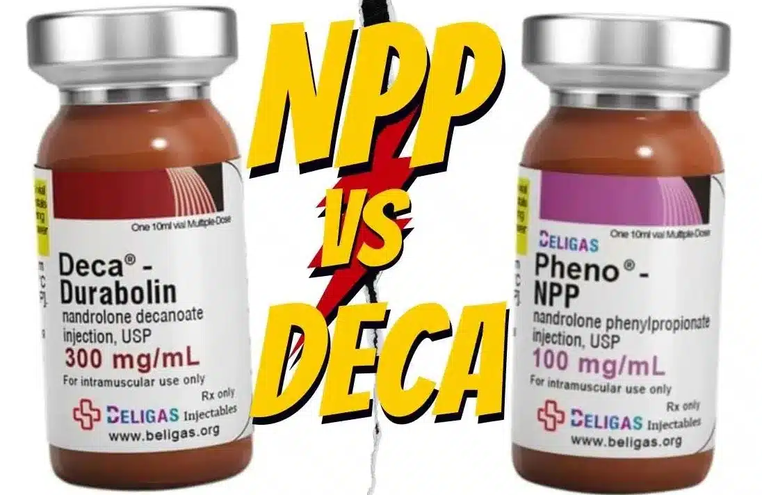 Npp vs Deca for muscle growth