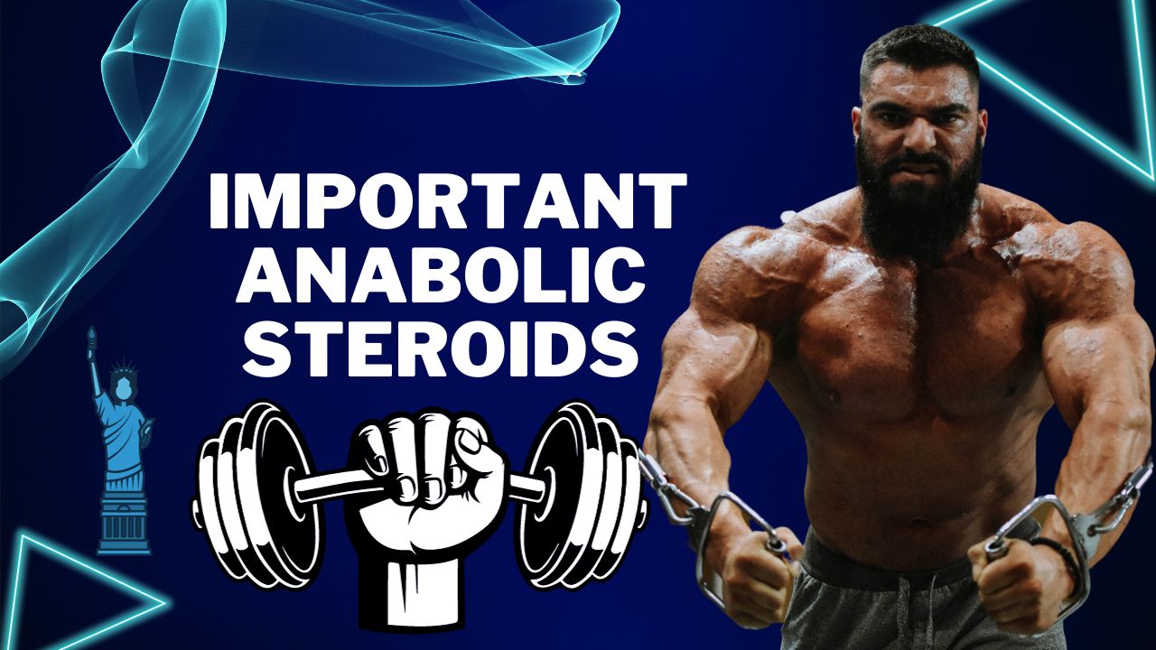 What are important anabolic steroids for bodybuilders?
