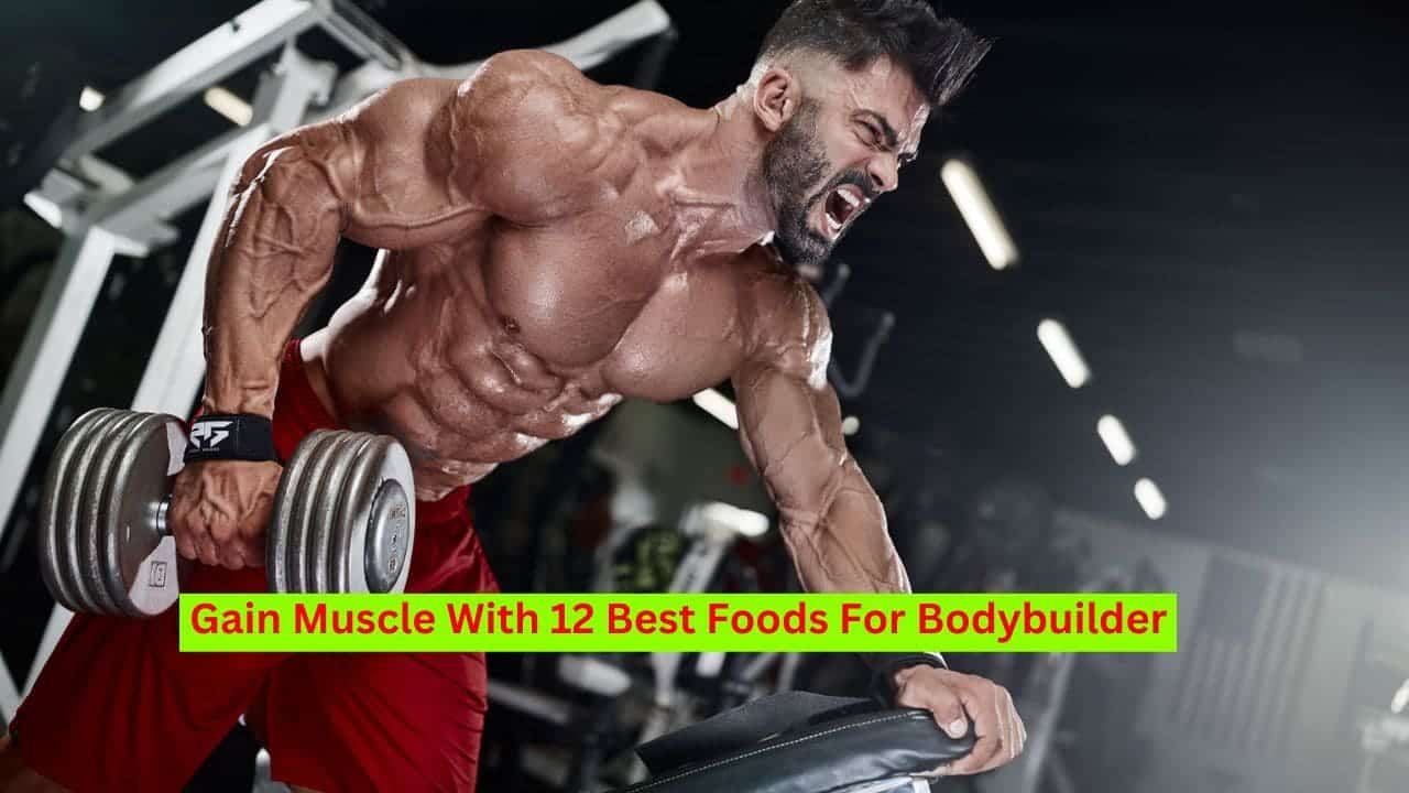 Gain Muscle With 12 Best Foods For Bodybuilder-min