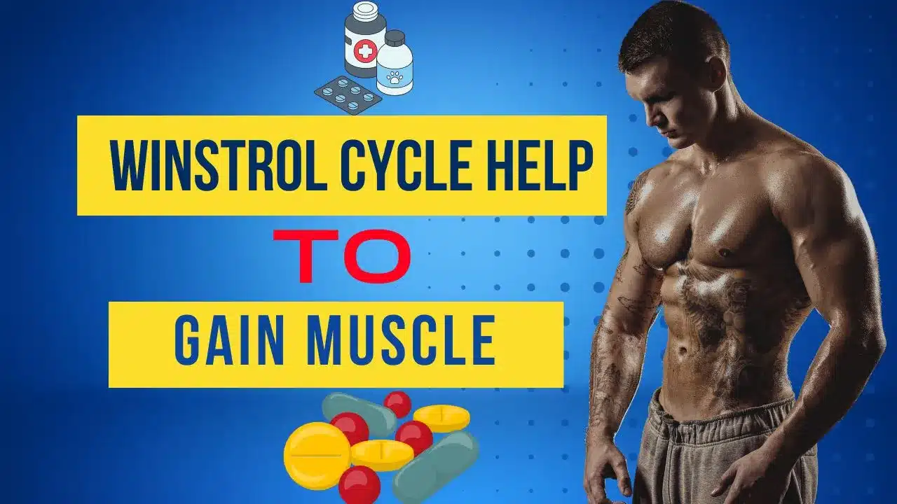 Winstrol Cycle Help to Gain Muscle