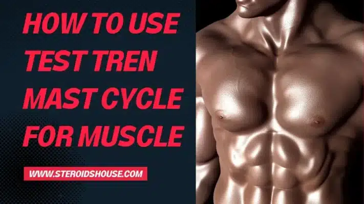 How to use test tren mast for muscle